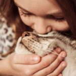 Беременность кошки: особенности и сроки полезная информация для владельцев