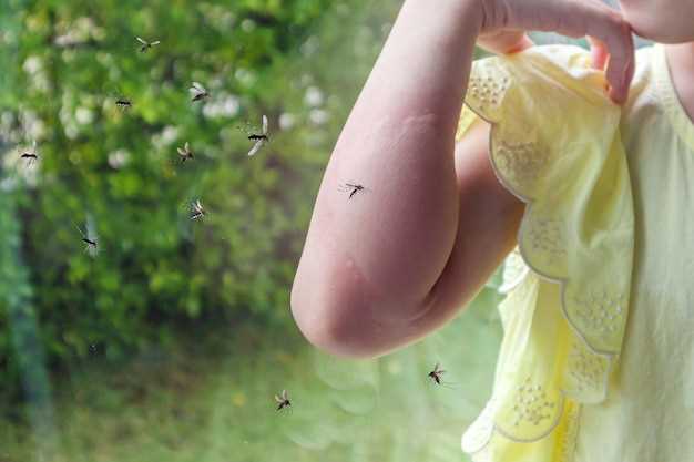 Духовное развитие в сновидении с мухой