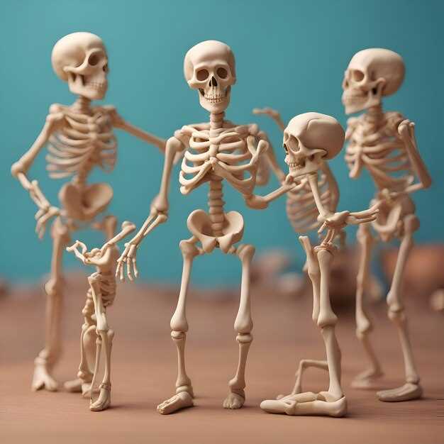 Основные названия человеческой кости