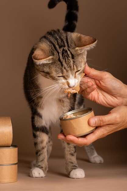 Кот перестал есть и пить: тревожный симптом или причина для беспокойства?