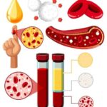 Кровянистые выделения в середине цикла: причины и симптомы