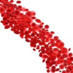 Низкий гемоглобин: причины, симптомы, последствия, как повысить