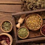 Прованские травы: полезные свойства и лечебные качества приправ