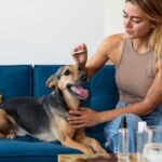 Собачий жир при кашле: миф или действительно эффективное средство