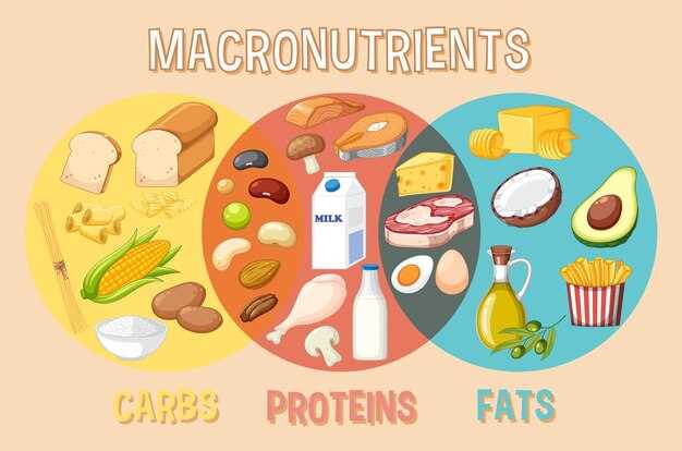 Белки, жиры и углеводы