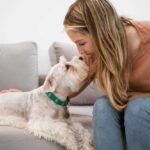 Советы по уходу за больной собакой: эффективные методы лечения и заботы