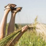 Зародыши пшеницы - настоящий подарок природы