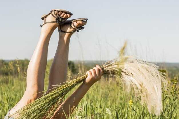 Зародыши пшеницы: преимущества и лечебные свойства